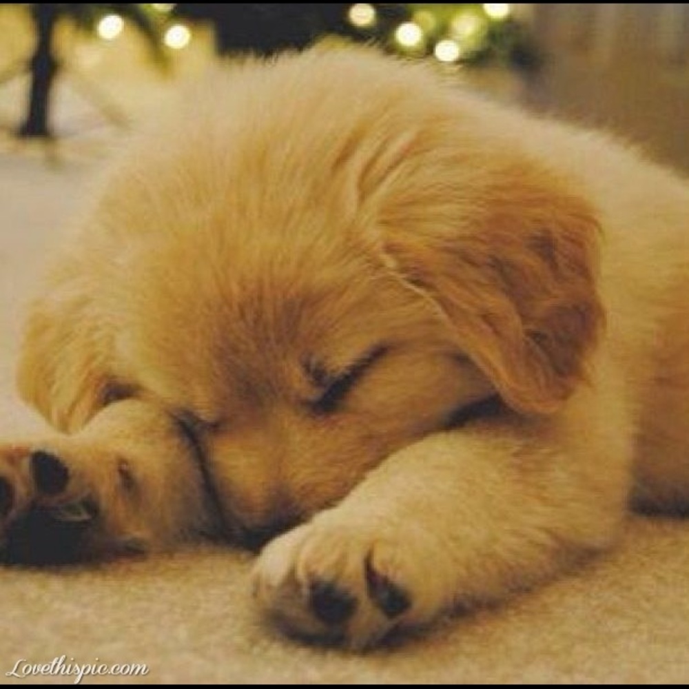 Meet your Posher, Ngoc